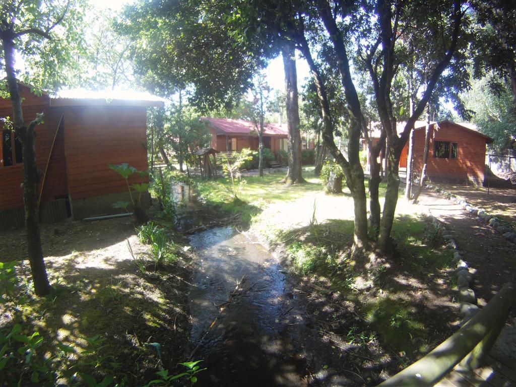 Cabanas Santa Maria Pucón Eksteriør billede
